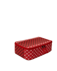 TRI SPLIT RED SNEAKER BAG