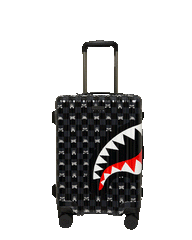 GRAY PEEKING CHARACTER SKETCH CARRY-ON HARD LUGGAGE