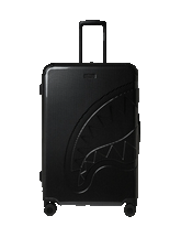 CARBON FIBER FULL SIZE LUGGAGE