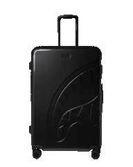 CARBON FIBER FULL SIZE LUGGAGE