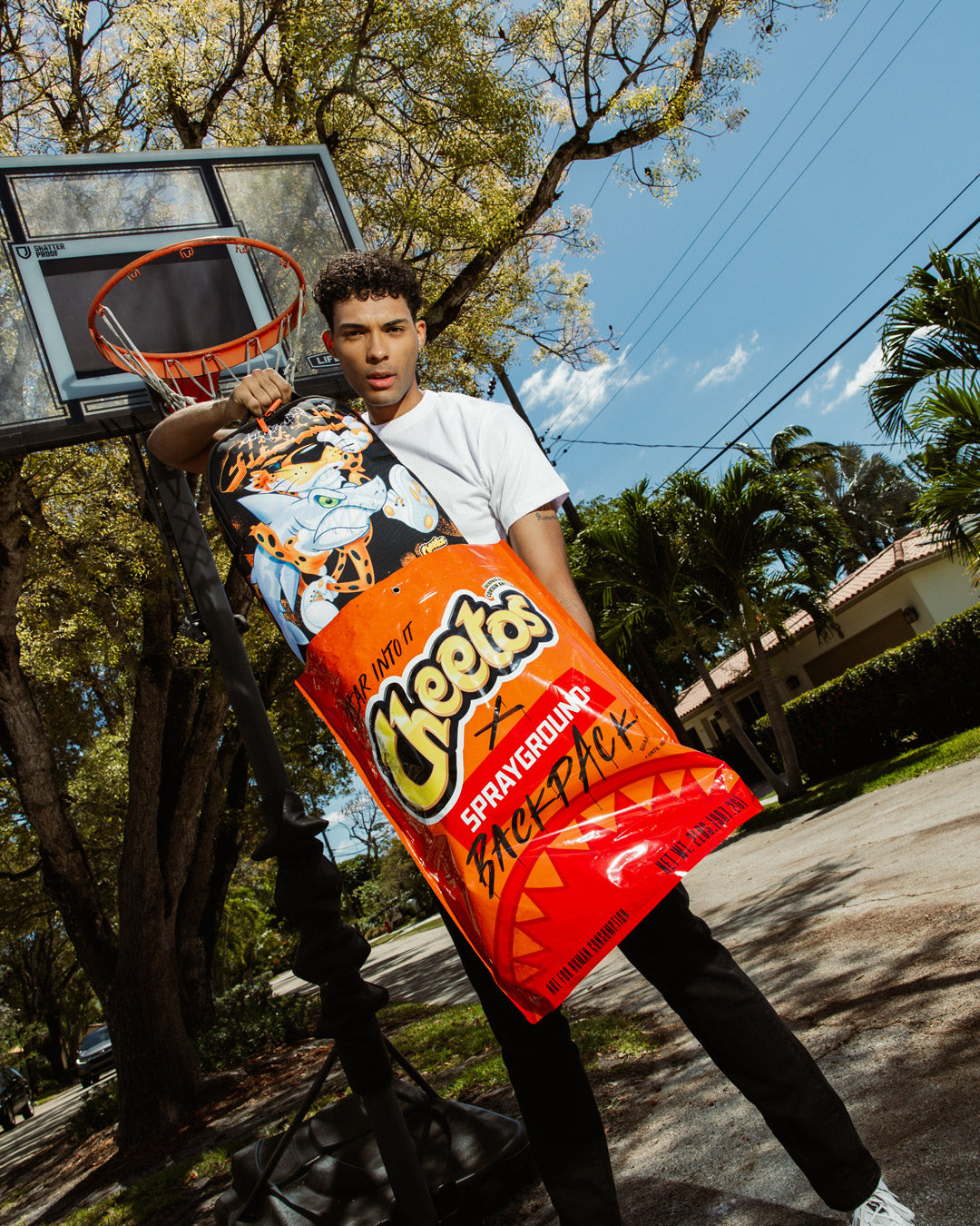 CHEETOS CHESTER ON THE RUN DLXSR BACKPACK