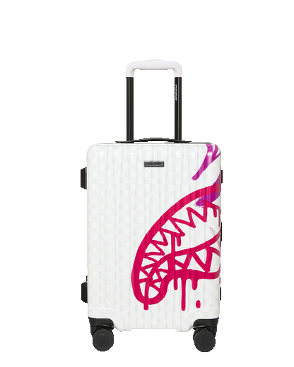 GRAFF MAYHEM RMX CARRY-ON HARD LUGGAGE