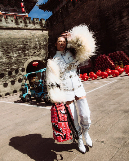 حقيبة ظهر ينتيريور لابيل فرينجي دي إل إكس